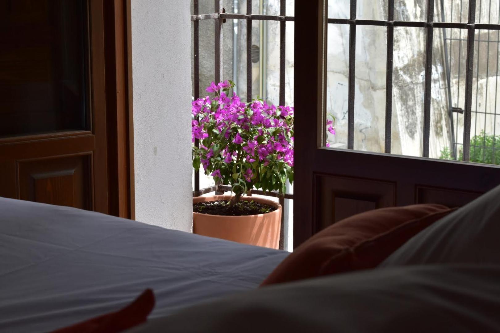 Apartamentos Alhambra Granada Eksteriør bilde